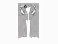 How the Body Works : Sperm Transport How the Body Works : Sperm Transport