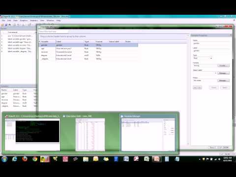 how to define labels in stata