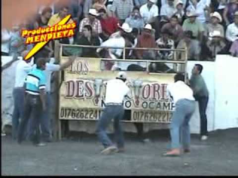los destructores de memo ocampo