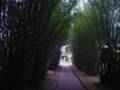 videos de Ju e Wan