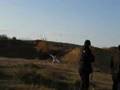 chania rc flyers volume 1