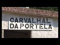 De Aveiro a Sernada
