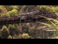 Bungy New Zealand - AJ Hackett Bungy - Bungee