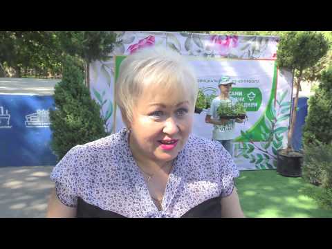 Просмотр видео