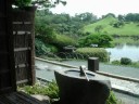 Zen, help you to stop anxiety and anger Zen, help you to stop anxiety and anger