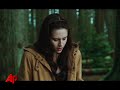 Robert Pattinson, Kristen Stewart and their 'New Moon' co-stars talk about their 