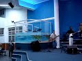 Tabernáculo Jacuí - O Brasil Para Cristo -Vim para Adorar-te Tabernáculo Jacuí - O Brasil Para Cristo -Vim para Adorar-te