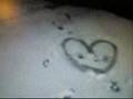 the truth...♥Jashley & Zanessa♥