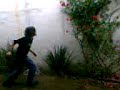 Usando kung-fu para a póda de plantas XDDD