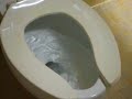 THE NEVER ENDING FLUSHING TOILET THE NEVER ENDING FLUSHING TOILET