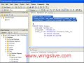 Working with constraints in SQL Server 2005 - wingslive