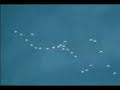 Galactic Federation flyover Galactic Federation flyover
