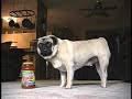 Max Goes Commercial