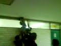 colegio de bachilleres 6