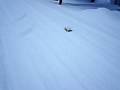 videos de Tyco Fast Traxx in Deep Fresh Snow
