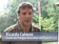 Ver o vídeo