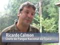 Ver o vídeo