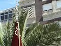 traslado perdon y misericordia motril