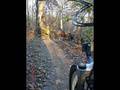Etobicoke Creek Vally