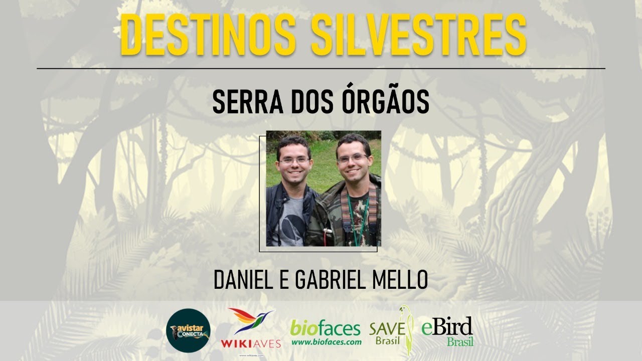 #DestinosSilvestres | Ep06 - Serra dos Órgãos