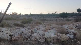 كفر ثلث، عزبة الاشقر