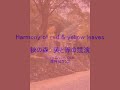 Hermony of Red ＆ Yellow 黄と赤の競演