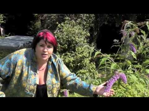 Spiritual Transformation: 21st Century Shaman