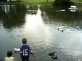Ethan and Violet feeding ducks