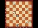 The longest mate 4 Knights vs Queen The longest mate 4 Knights vs Queen