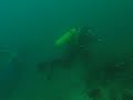 Buceo Adaptado en Puerto Madryn