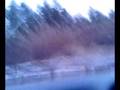 video-0003.mp4