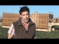 Family Farmer Talks About Traceback For Cantaloupes
