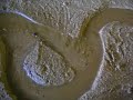 Cut-off and Oxbow Formation on a Stream Table