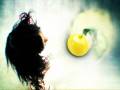 Fizz-Yellow-Plum-Com