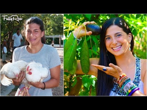 how to become vegetarian