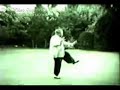 Fu Zhong Wen performing Yang Style Taiji 1a
