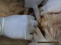 Procedure d\ Procedure d\