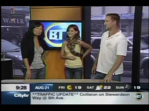 Watch 'Reptiles & Snakes On Citytv's Breakfast TV 2/2'
