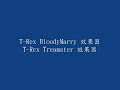 T-REX BloodyMary及Treamster效果器.wmv