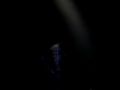 Video screenshot