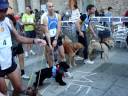 I Canicross Bunyola 22-11-2008