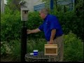 Bird Man Mel Attracting Bluebirds Bird Man Mel Attracting Bluebirds