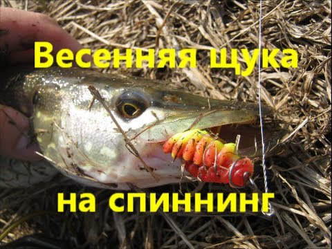 весенняя рыбалка на спиннинг весенняя рыбалка на спиннинг