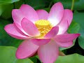 heaven on earth is on the road  the return of sat yuga