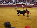 Capeia Arraiana Campo Pequeno 2008- 2