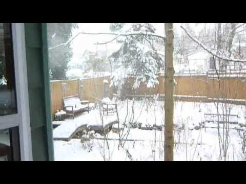 Seattle Snowpocalypse 2012