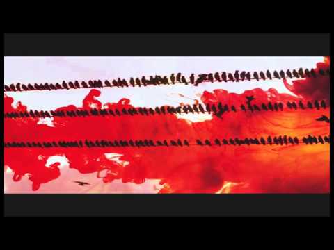 Birdwatching in Silent Forest