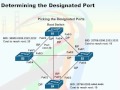 536 50 Per VLAN Spaning Tree Plus 10 Determining the Designated Port
