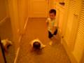 videos de はしゃぐ兄と妹
