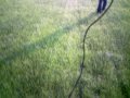 Protech Zoom 450 EP with FlyCamOne